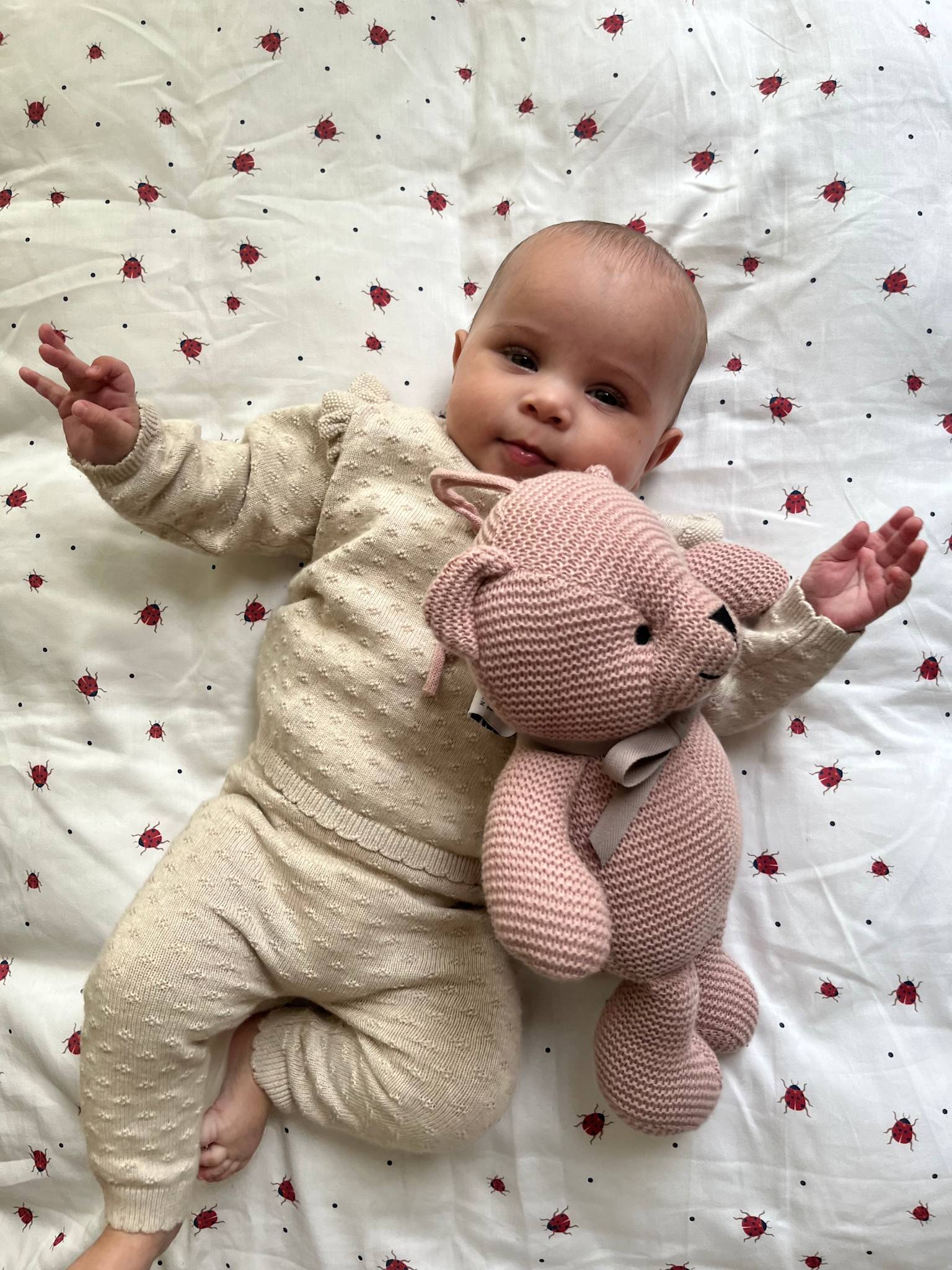 Bamse med musik - Misty Rose