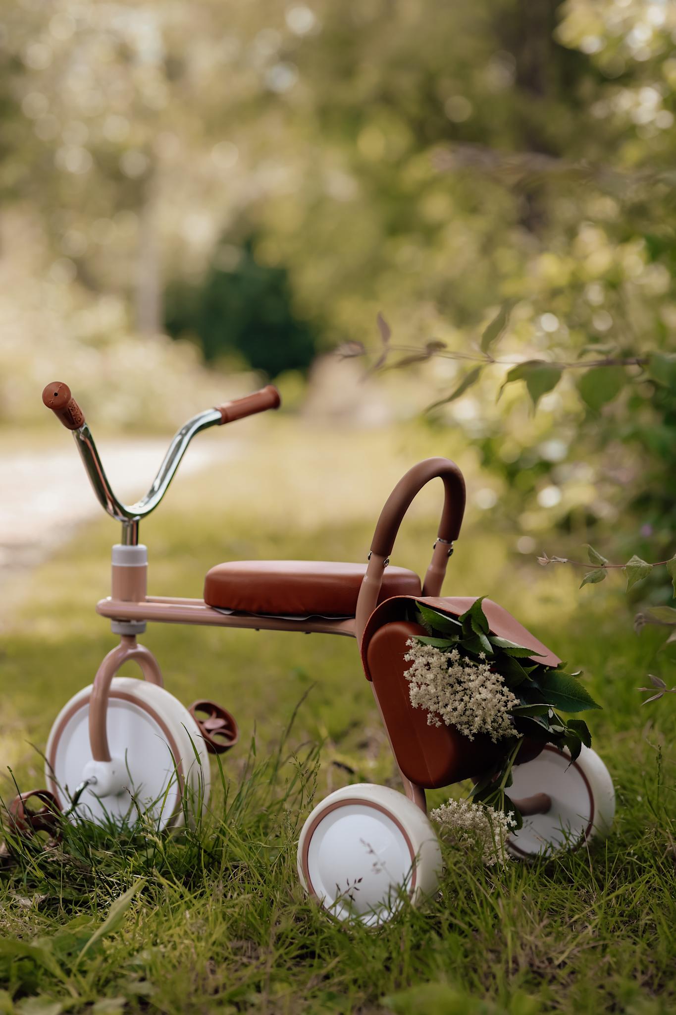 Trehjulet cykel - Oak